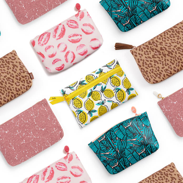 Pouch Ipsy